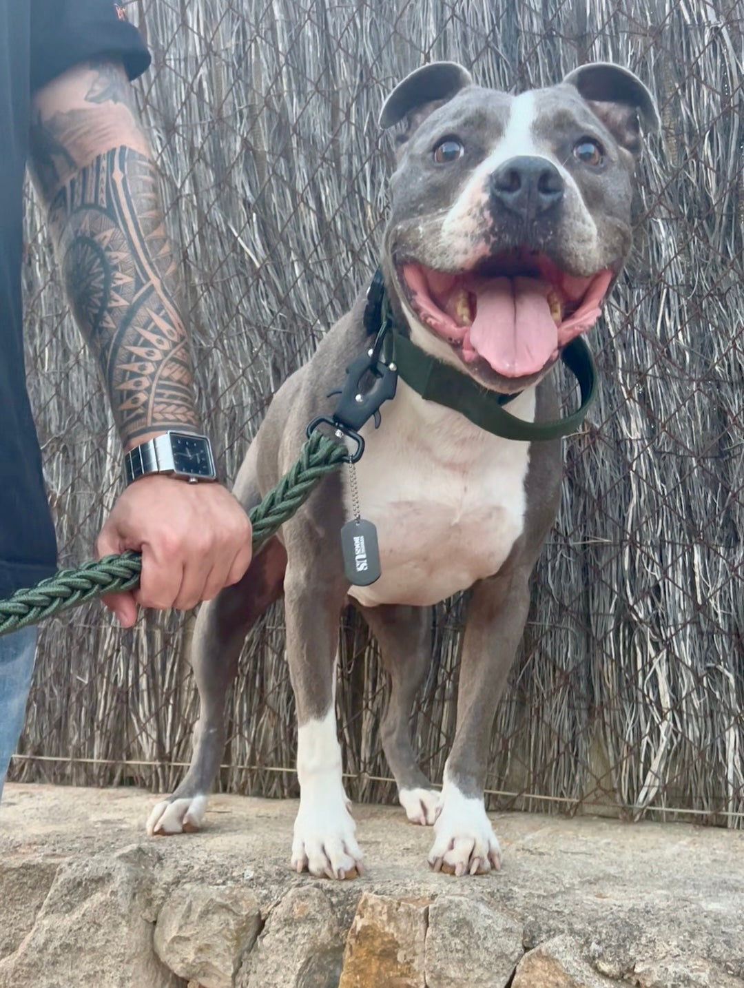 Power Leash Swift - Silber
