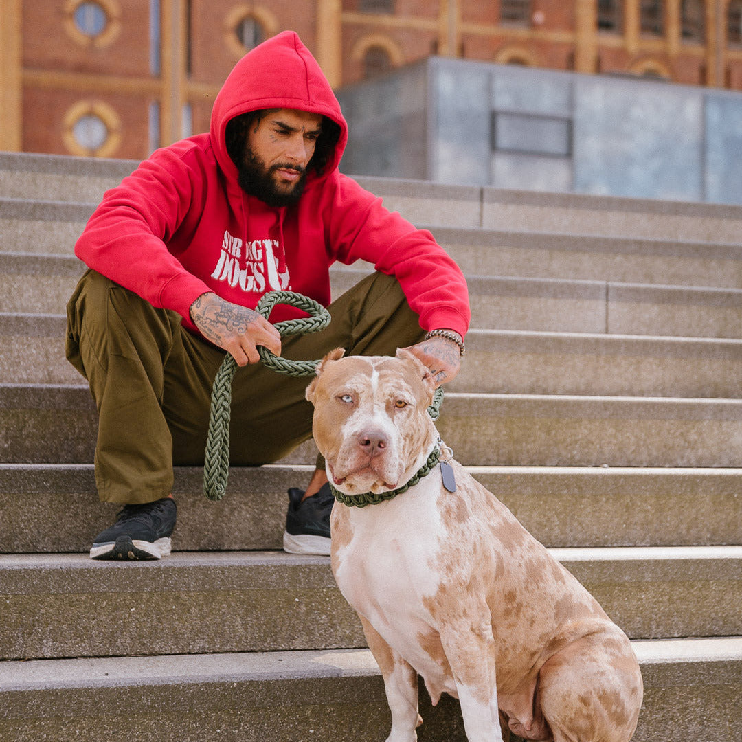  Geflochtene Power Leash Diamond in Gruen von Strong Dogs U.S. am muskulösen Hund mit Kettengliedern geführt – tätowierter Hundeführer mit silbernem Armband in urbaner Umgebung.
