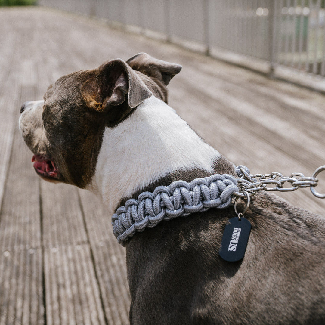 Hund trägt die silberne Power Leash Diamond von Strong Dogs U.S. – geflochtenes Halsband mit Kettengliedern, aufgenommen im Profil bei Tageslicht auf einer Holzterrasse.