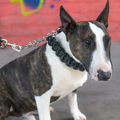 Power Leash Basic - Black