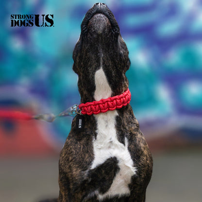 Power Leash Basic - Red