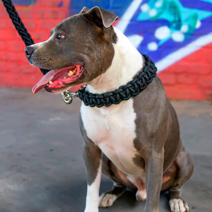 Power Leash Basic - Black