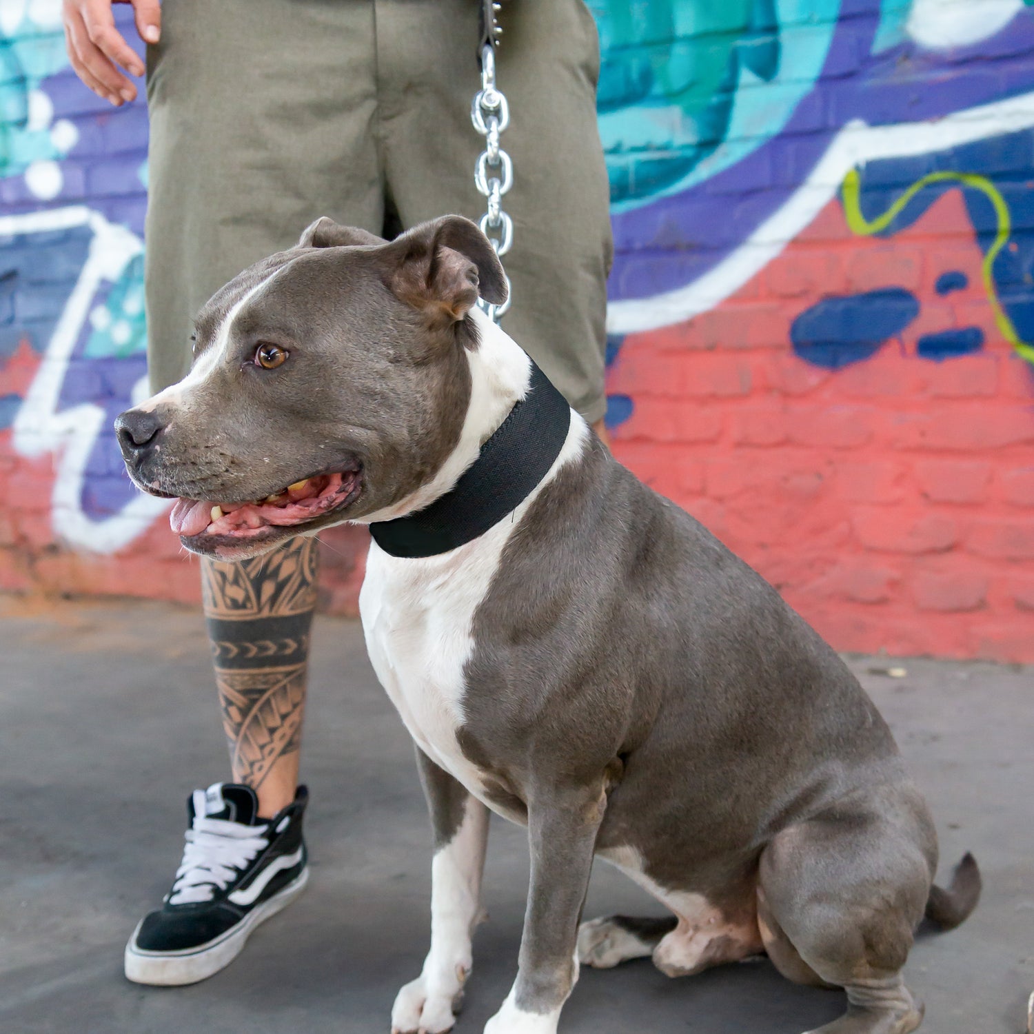 Halsband Duke - Schwarz - StrongDogs U.S.