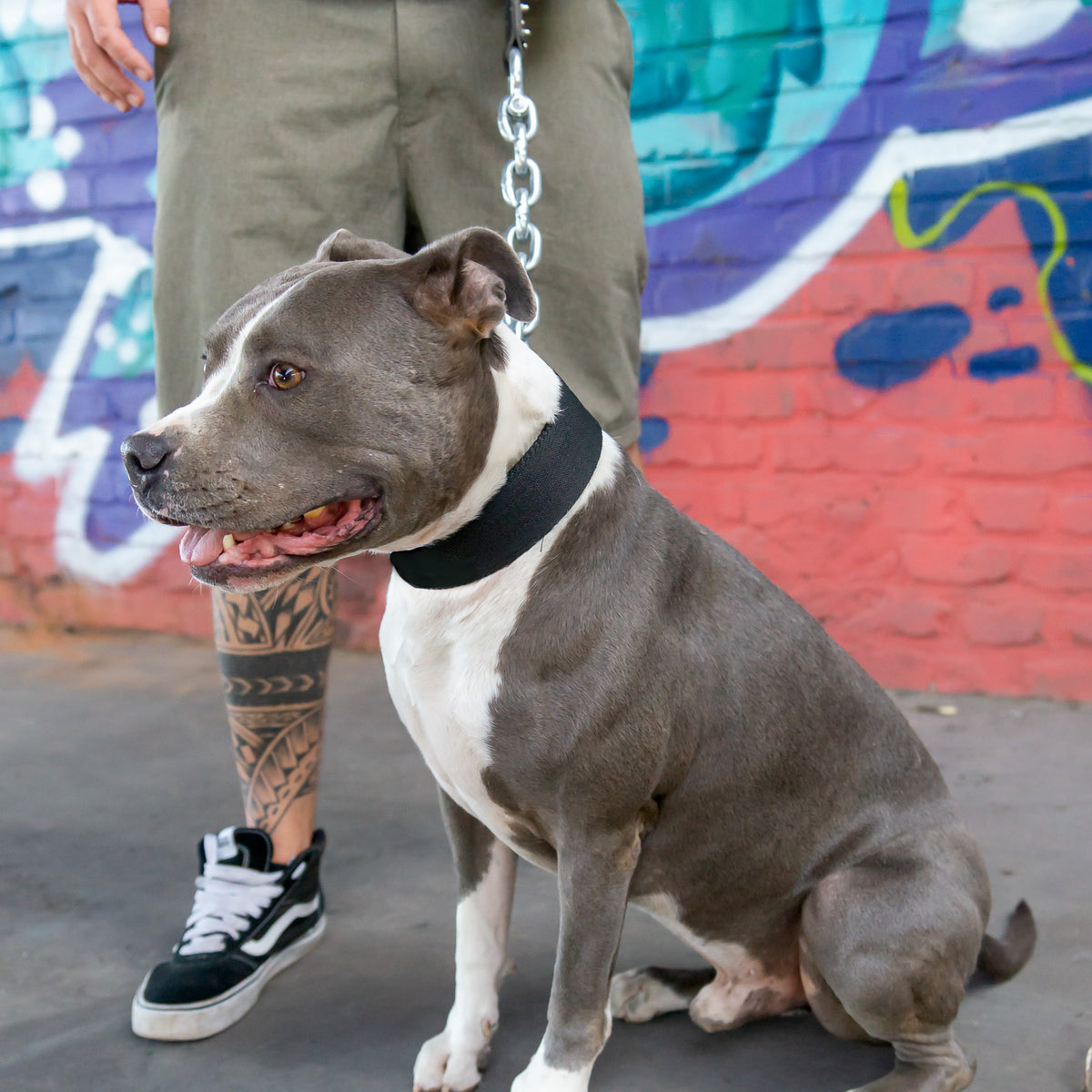 Halsband Duke - Schwarz - StrongDogs U.S.