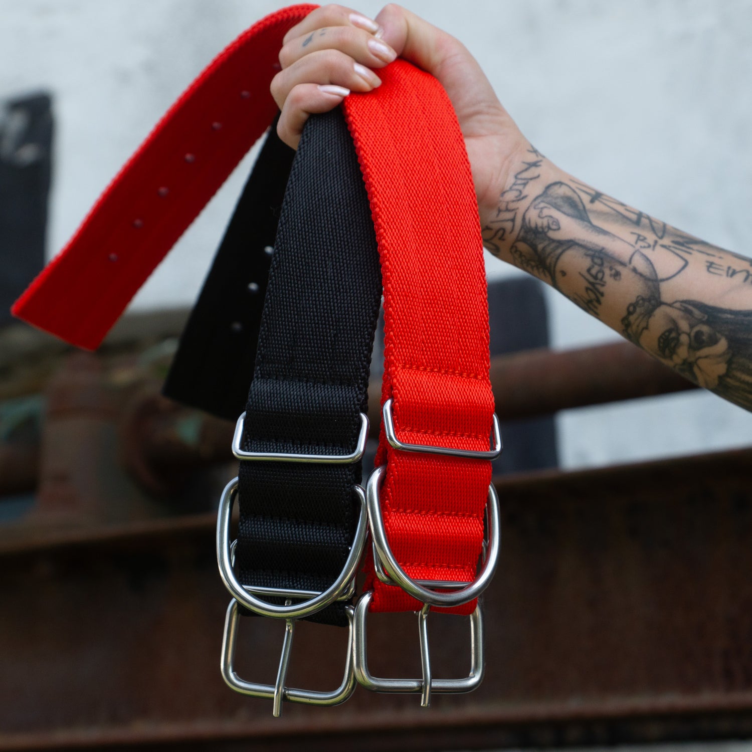 Halsband Duke - Rot - StrongDogs U.S.