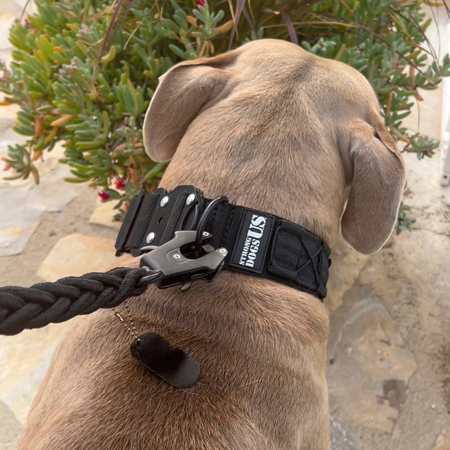 PowerLeash Swift - Gold