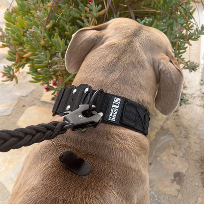 PowerLeash Swift - Gold