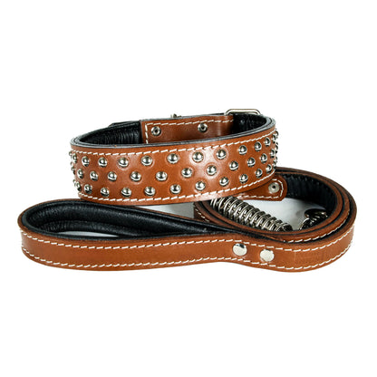 Lederleinen Set Scorpion - Braun