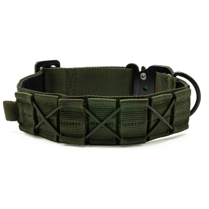 Halsband Blade Grün