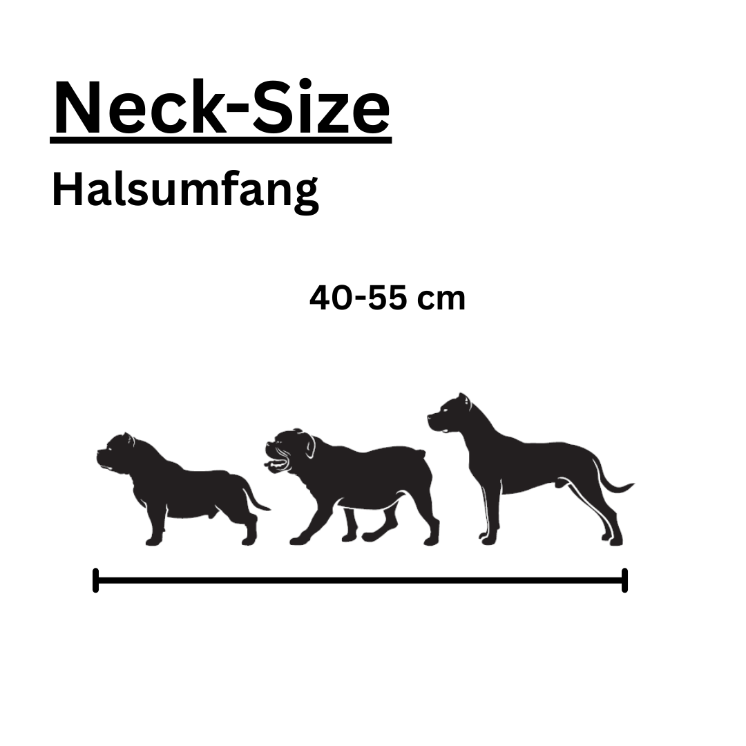 Grafik zur Halsbandgröße mit drei Hundesilhouetten unterschiedlicher Statur und der Aufschrift ‚Neck-Size / Halsumfang 45–55 cm‘. Sie zeigt den passenden Größenbereich für mittelgroße bis große Hunde.