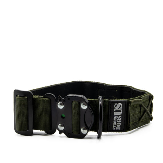 Halsband Blade Grün