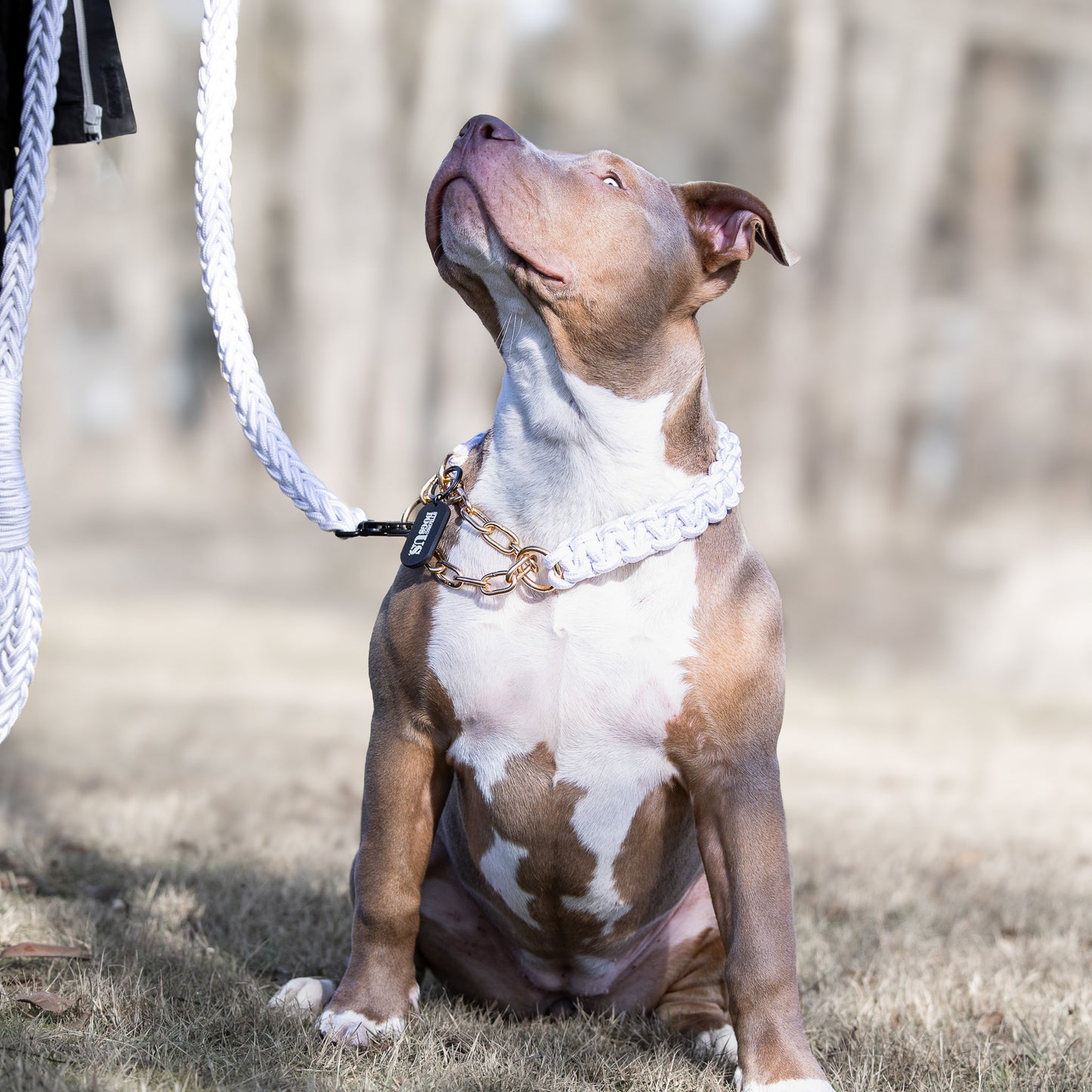 Power Leash Set Gold - Weiß
