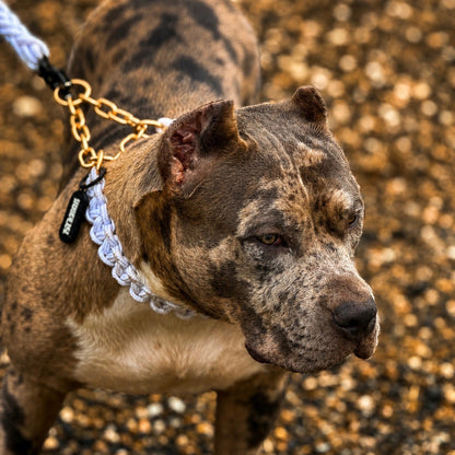 Power Leash Set Gold - Weiß