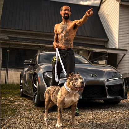 Power Leash Set Gold - Weiß